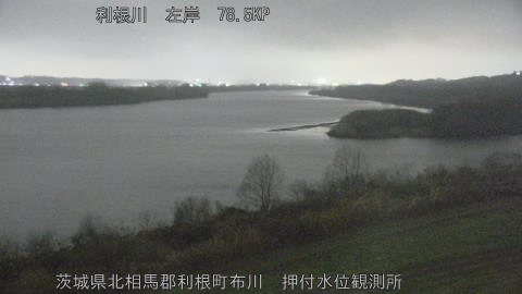 tonos2026030319_image