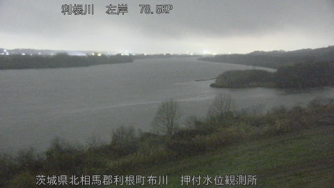 tonos2026030322_image