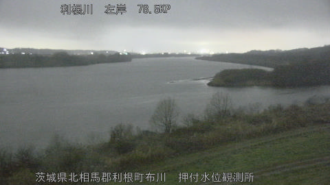 tonos2026030323_image