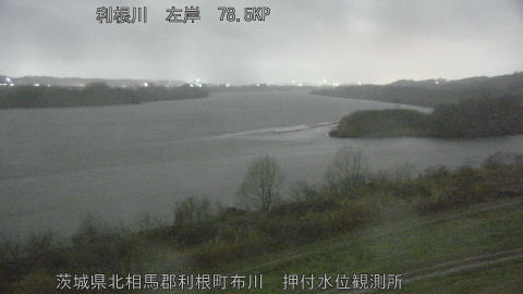 tonos2026030402_image