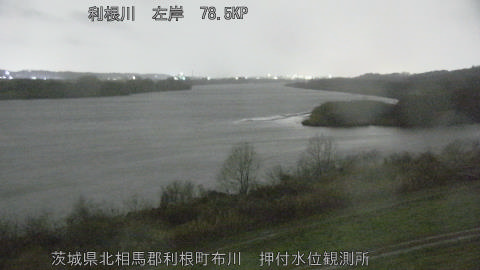 tonos2026030403_image