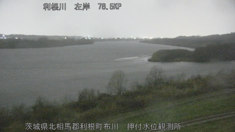 tonos2026030404_image