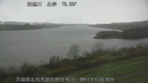 tonos2026030405_image