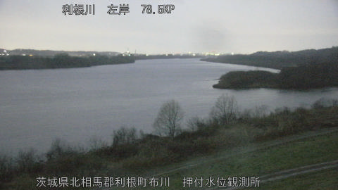 tonos2026030406_image