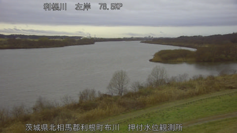 tonos2026030407_image