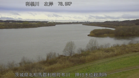 tonos2026030408_image