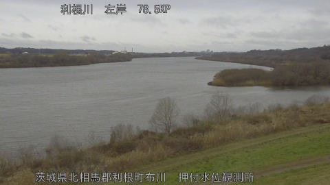 tonos2026030409_image