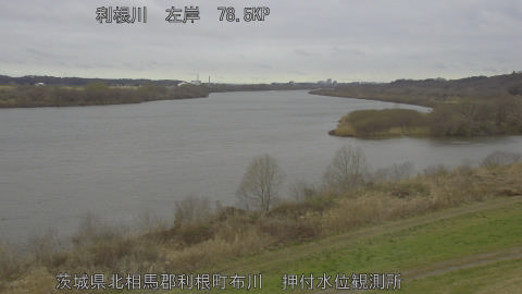 tonos2026030410_image