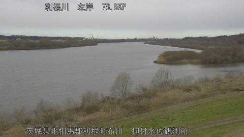 tonos2026030411_image