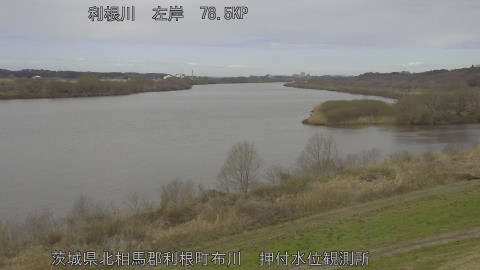 tonos2026030412_image