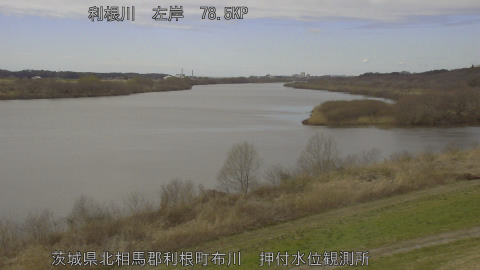 tonos2026030413_image