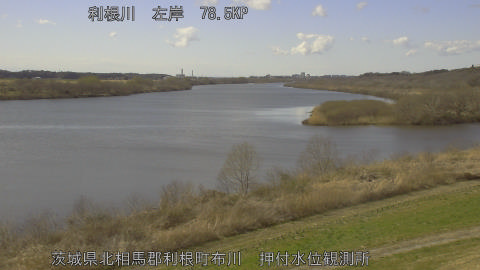 tonos2026030414_image