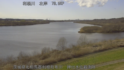 tonos2026030415_image