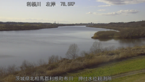 tonos2026030416_image