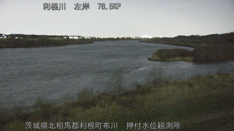 tonos2026030420_image