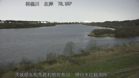 tonos2026030421_image