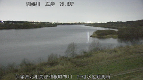 tonos2026030422_image