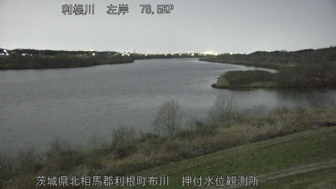 tonos2026030501_image