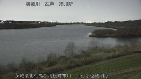 tonos2026030503_image