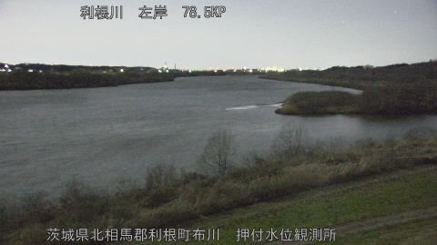 tonos2026030504_image