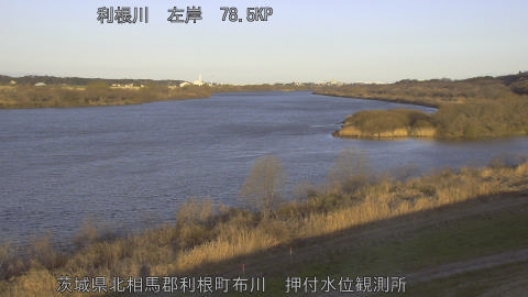 tonos2026030507_image