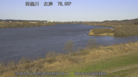 tonos2026030508_image