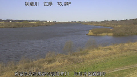 tonos2026030509_image