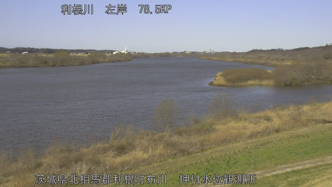 tonos2026030510_image