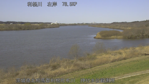 tonos2026030511_image