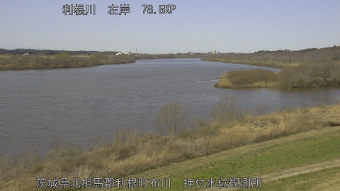 tonos2026030512_image