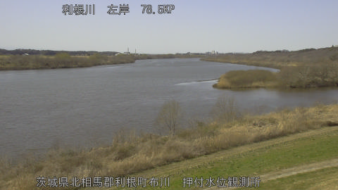 tonos2026030513_image