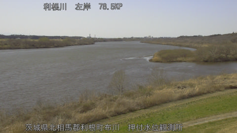 tonos2026030514_image