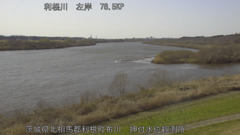 tonos2026030515_image