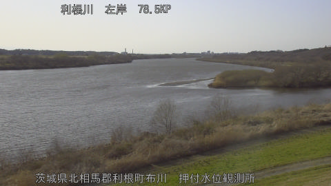 tonos2026030516_image