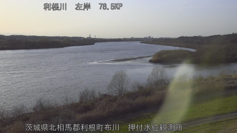 tonos2026030517_image