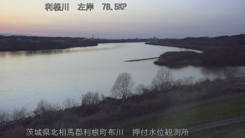 tonos2026030518_image