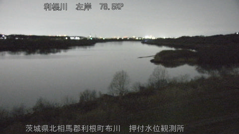 tonos2026030521_image