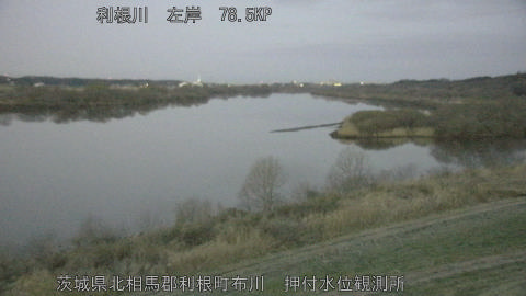 tonos2026030606_image