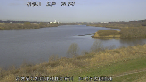 tonos2026030608_image