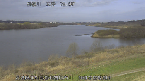 tonos2026030609_image