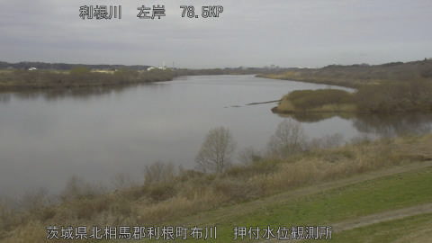 tonos2026030610_image