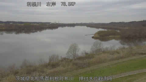 tonos2026030611_image