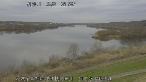 tonos2026030612_image