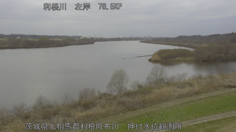 tonos2026030613_image