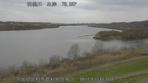 tonos2026030614_image