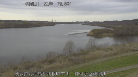 tonos2026030615_image