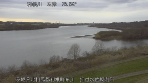 tonos2026030617_image