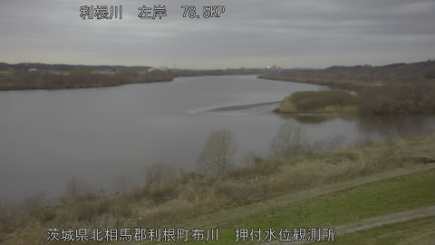 tonos2026030618_image