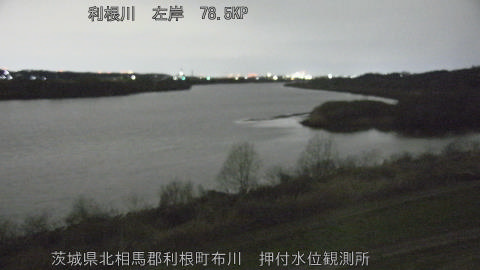 tonos2026030801_image