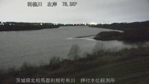 tonos2026030802_image